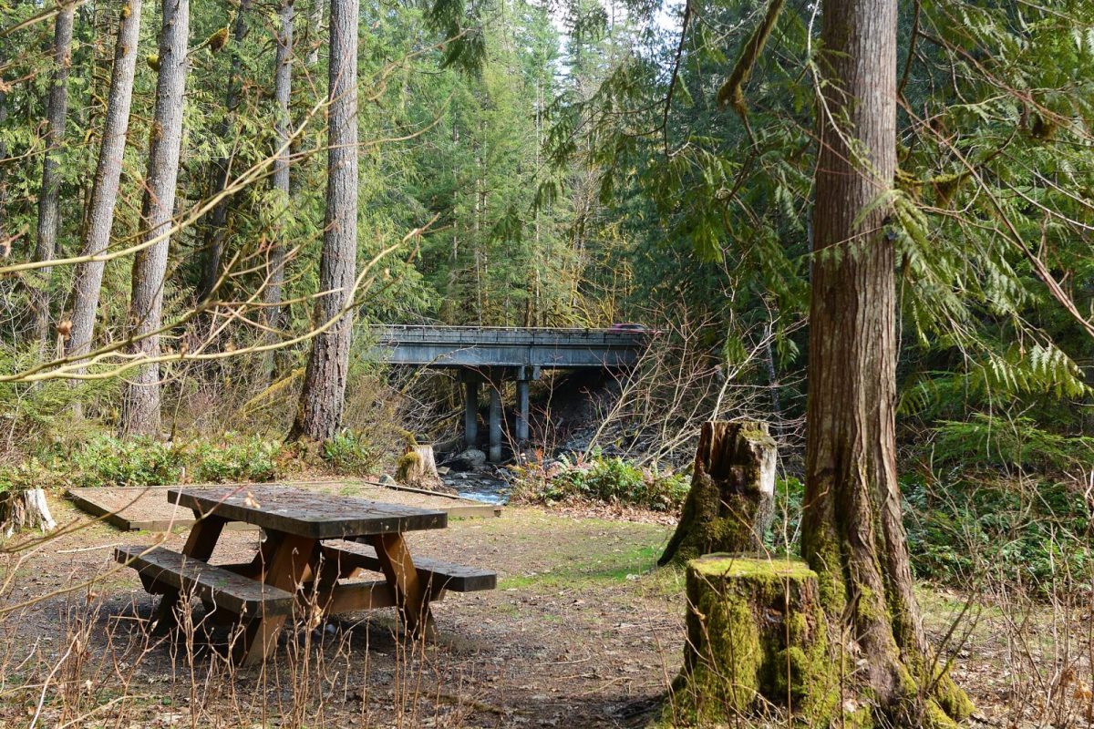 The North Fork Nooksack near Deming