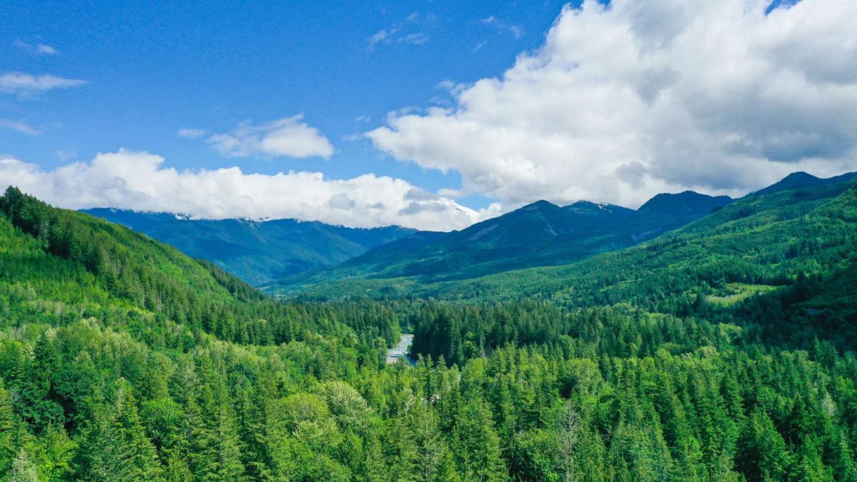 A forested valley and snow-capped peaks from the air